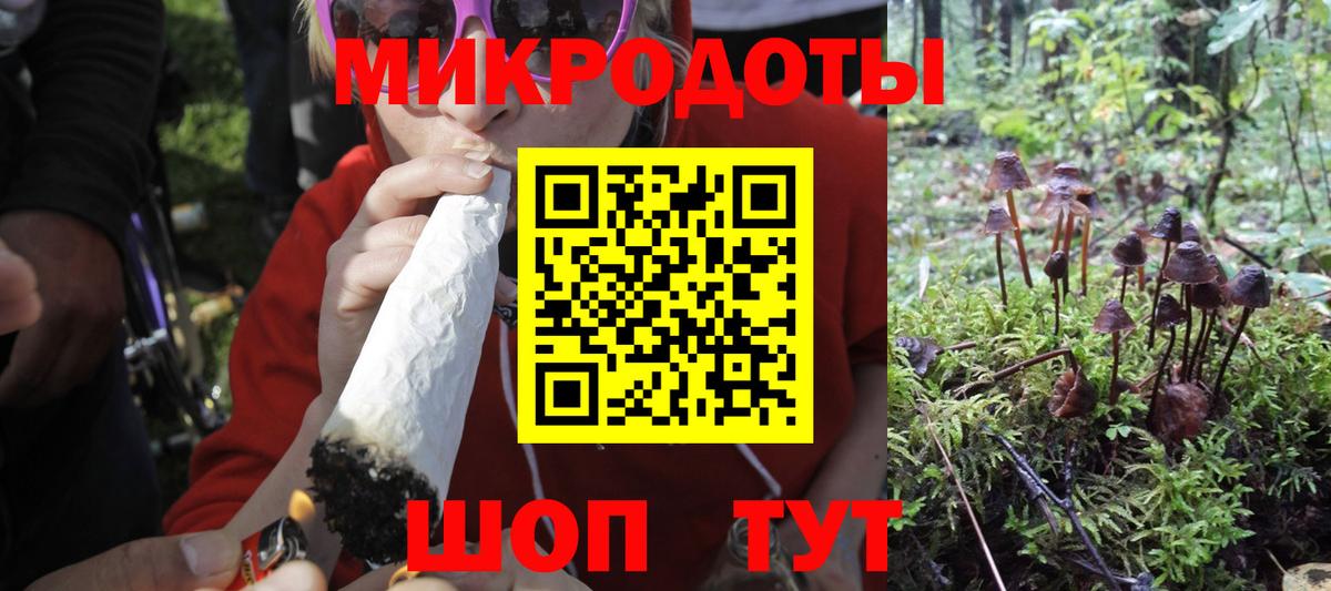 Урус-Мартан  Галлюциногенные грибы Psilocybine cubensis  Вход с VPN 