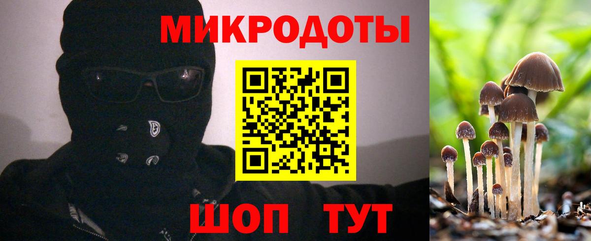 Галлюциногенные грибы Cubensis Урус-Мартан